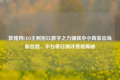 敦煌网CEO王树彤以数字之力铺就中小商家出海新丝路,平台单日测评费用揭秘