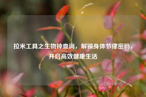 拉米工具之生物钟查询,解锁身体节律密码,开启高效健康生活