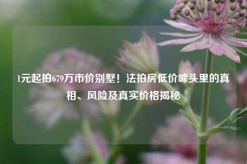 1元起拍679万市价别墅!法拍房低价噱头里的真相、风险及真实价格揭秘