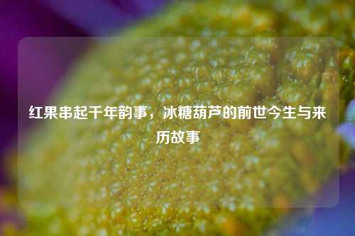 红果串起千年韵事,冰糖葫芦的前世今生与来历故事