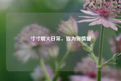 寸寸烟火日常,皆为你情留