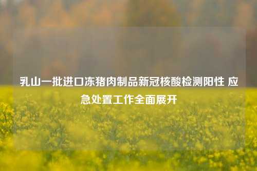 乳山一批进口冻猪肉制品新冠核酸检测阳性 应急处置工作全面展开