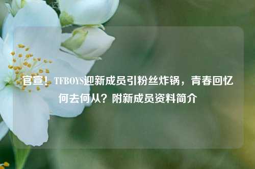官宣!TFBOYS迎新成员引粉丝炸锅,青春回忆何去何从?附新成员资料简介