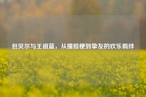 包贝尔与王祖蓝,从撞脸梗到挚友的欢乐羁绊