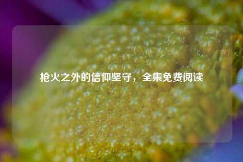 枪火之外的信仰坚守,全集免费阅读