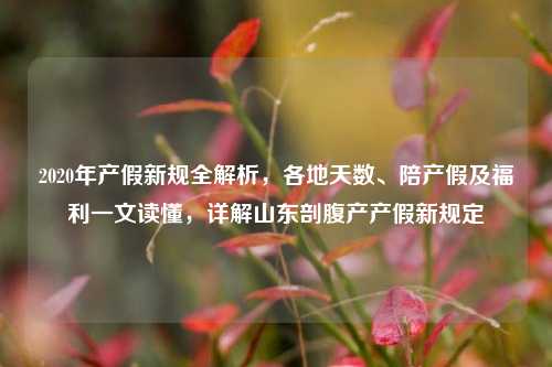 2020年产假新规全解析,各地天数、陪产假及福利一文读懂,详解山东剖腹产产假新规定