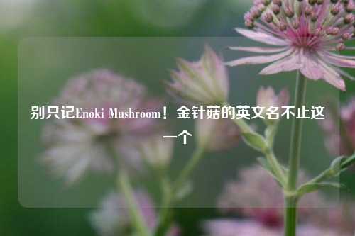 别只记Enoki Mushroom！金针菇的英文名不止这一个