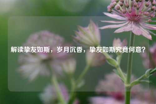 解读挚友如斯，岁月沉香，挚友如斯究竟何意？