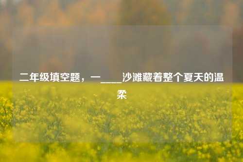 二年级填空题,一____沙滩藏着整个夏天的温柔