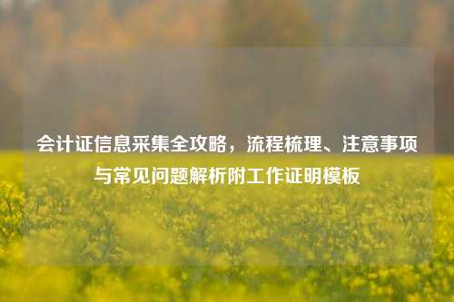 会计证信息采集全攻略，流程梳理、注意事项与常见问题解析附工作证明模板