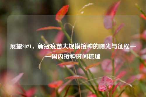 展望2021，新冠疫苗大规模接种的曙光与征程——国内接种时间梳理