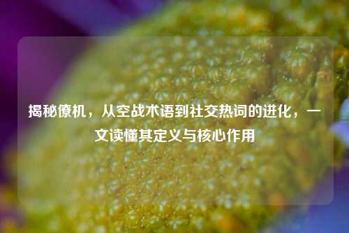 揭秘僚机,从空战术语到社交热词的进化,一文读懂其定义与核心作用