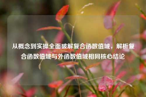 从概念到实操全面破解复合函数值域,解析复合函数值域与外函数值域相同核心结论