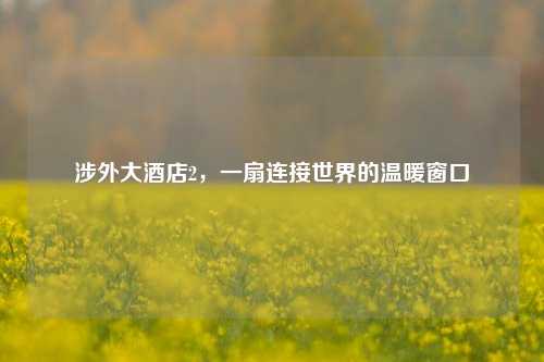 涉外大酒店2,一扇连接世界的温暖窗口