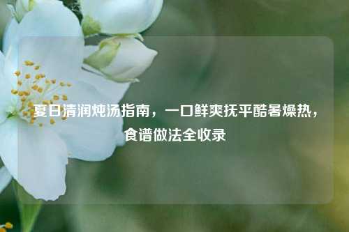 夏日清润炖汤指南,一口鲜爽抚平酷暑燥热,食谱做法全收录