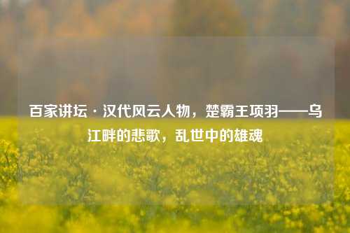 百家讲坛·汉代风云人物,楚霸王项羽——乌江畔的悲歌,乱世中的雄魂