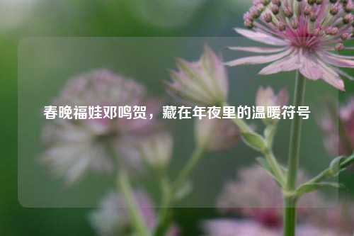 春晚福娃邓鸣贺,藏在年夜里的温暖符号