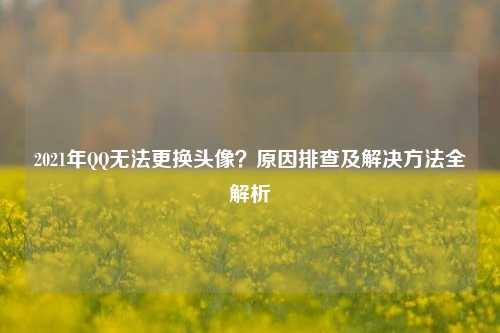 2021年QQ无法更换头像?原因排查及解决方法全解析
