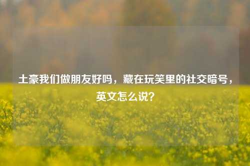 土豪我们做朋友好吗,藏在玩笑里的社交暗号,英文怎么说?