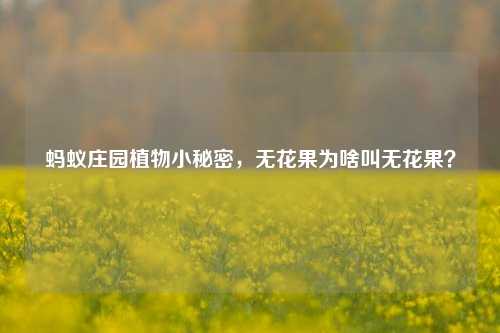 蚂蚁庄园植物小秘密,无花果为啥叫无花果?