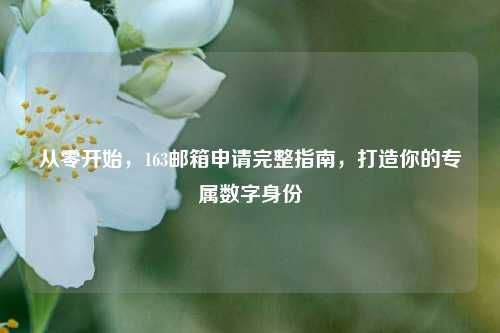 从零开始，163邮箱申请完整指南，打造你的专属数字身份