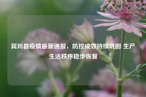宾川县疫情最新通报,防控成效持续巩固 生产生活秩序稳步恢复