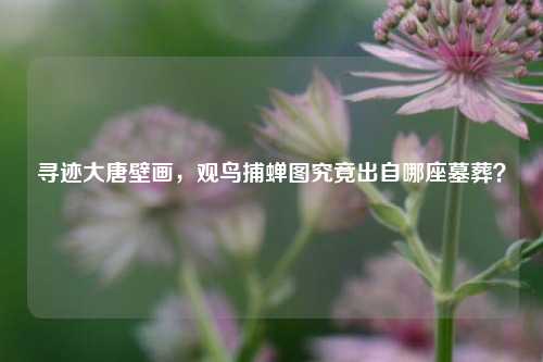 寻迹大唐壁画,观鸟捕蝉图究竟出自哪座墓葬?